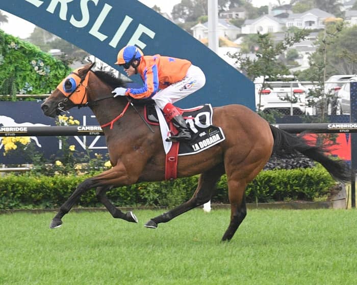 TAB Karaka Millions tickets