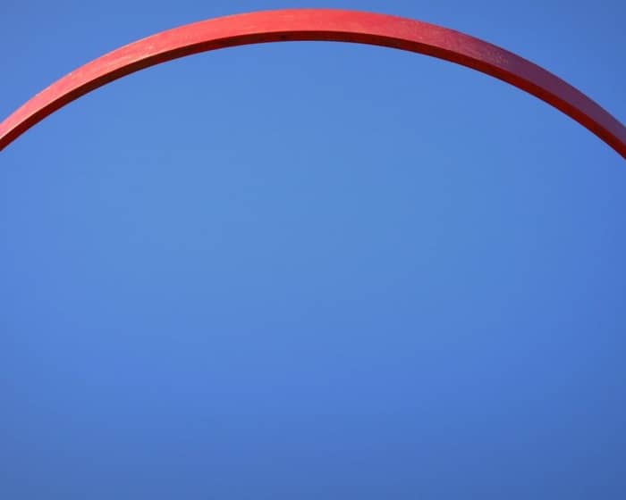 Queensland Firebirds cover image