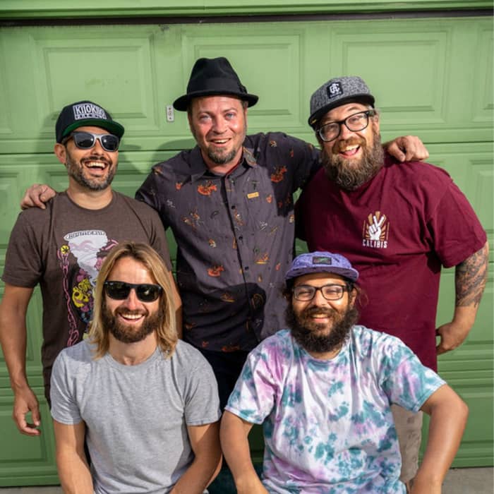 Fortunate Youth cover image