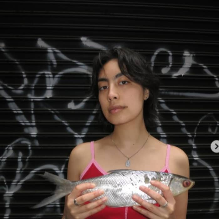 Evil Adeline cover image