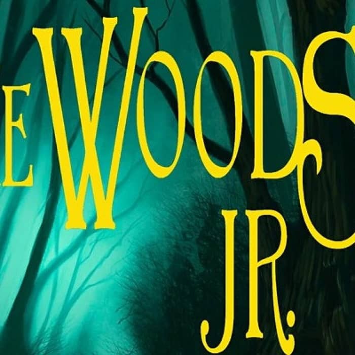 Into The Woods cover image
