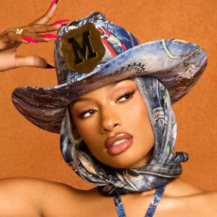 Megan Thee Stallion cover image