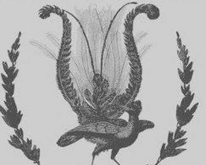 Meeniyan Town Hall events