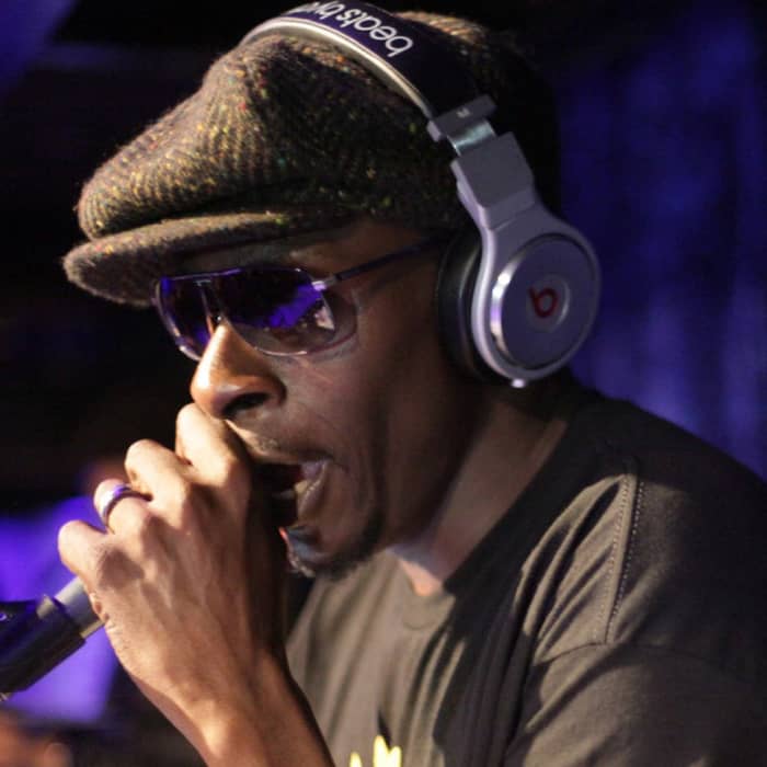 Pete Rock cover image