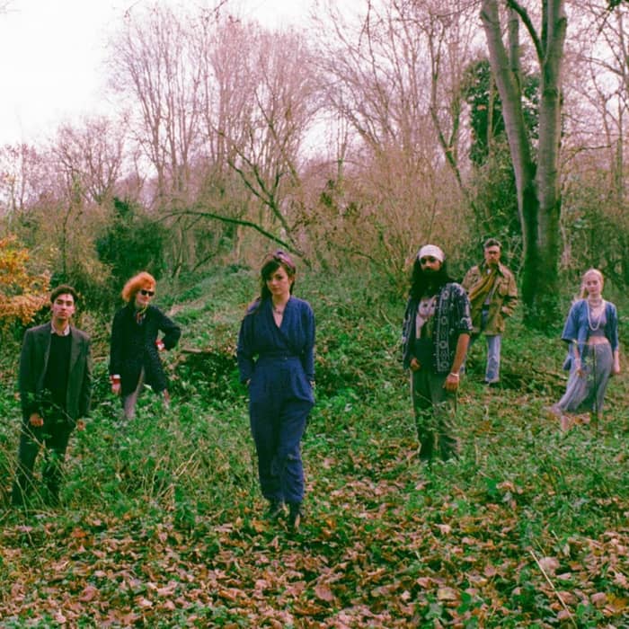 Mandrake Handshake cover image