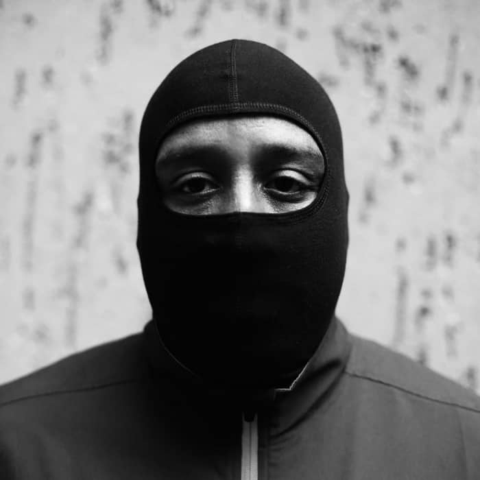 DJ Stingray 313 cover image