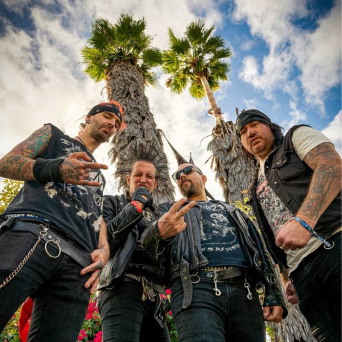 TOTAL CHAOS cover image