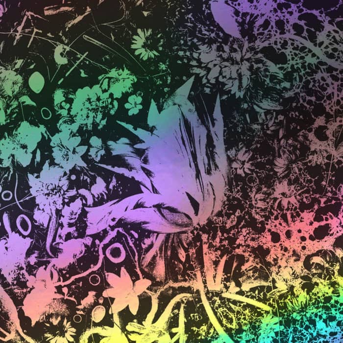 Converge cover image