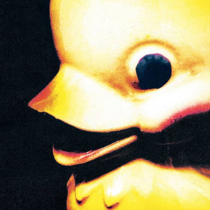 Fleshwater cover image