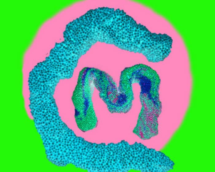 Mermaid Chunky cover image