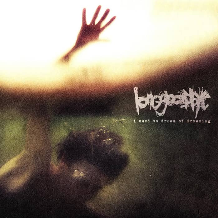 Long Goodbye cover image
