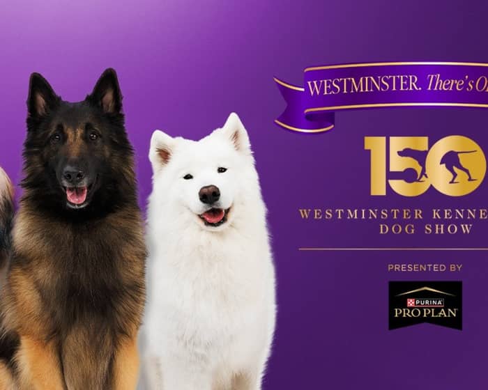 150th Annual Westminster Kennel Club Dog Show tickets