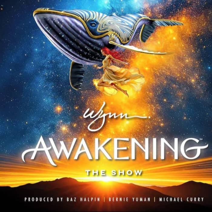 Awakening cover image