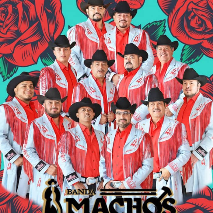 Banda Machos cover image
