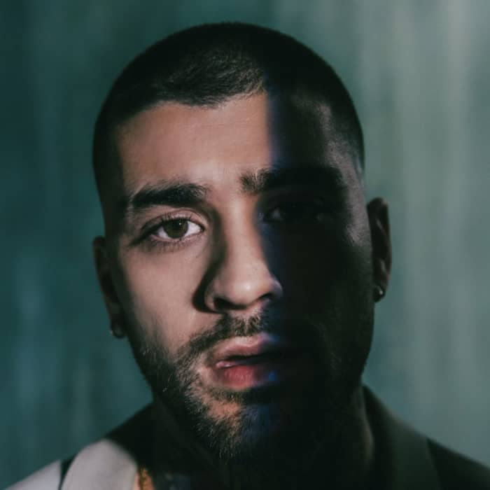 ZAYN cover image