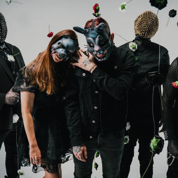 The Bunny the Bear cover image