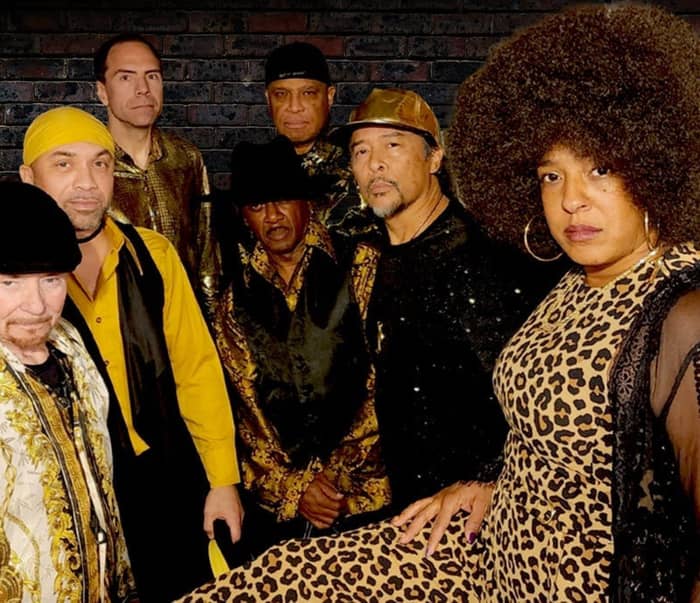 The Family Stone cover image