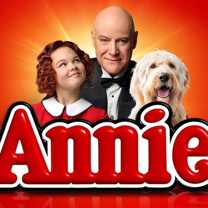 Annie The Musical cover image
