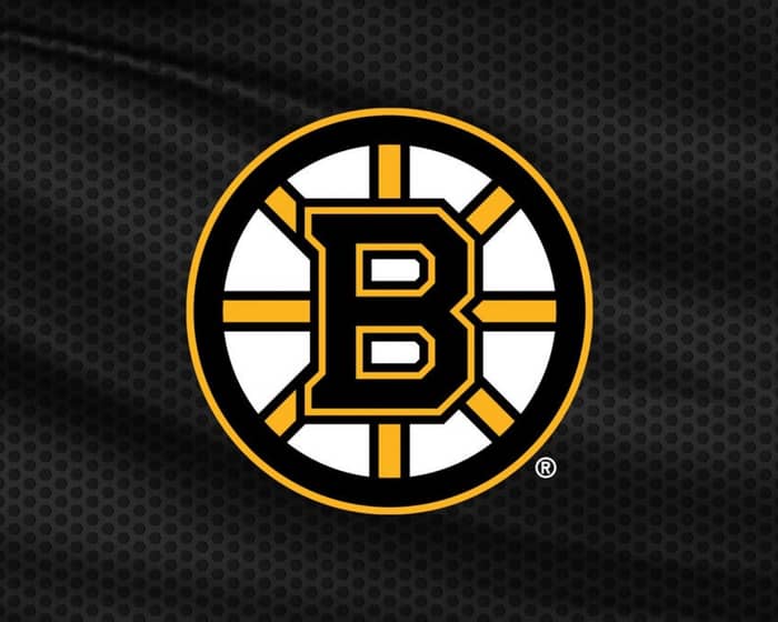 Boston Bruins cover image