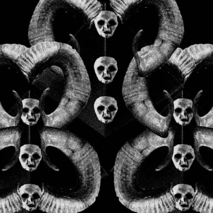 Portal cover image
