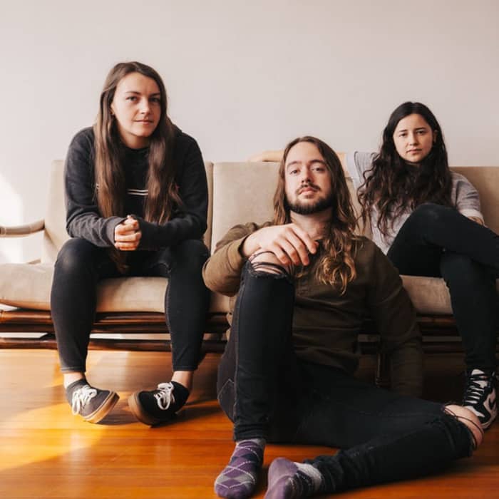 Like Roses cover image