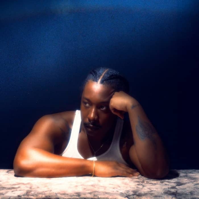 McKinley Dixon cover image