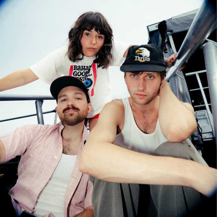 The Greeting Committee cover image