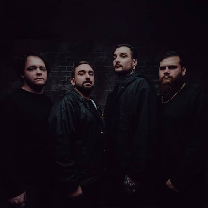 Signs of the Swarm cover image