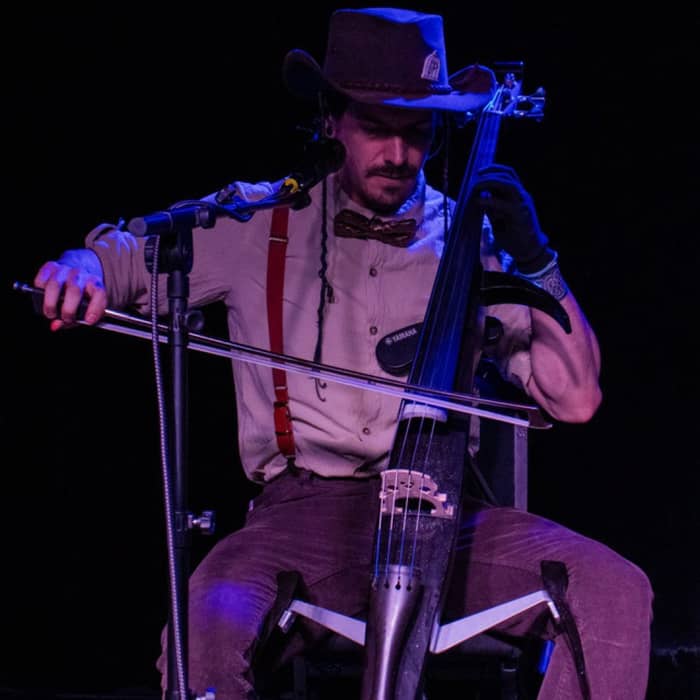 Fish in a Birdcage cover image