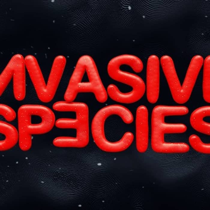 Invasive Species cover image