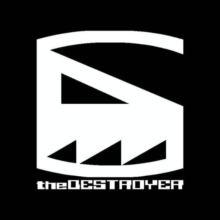 The Destroyers cover image