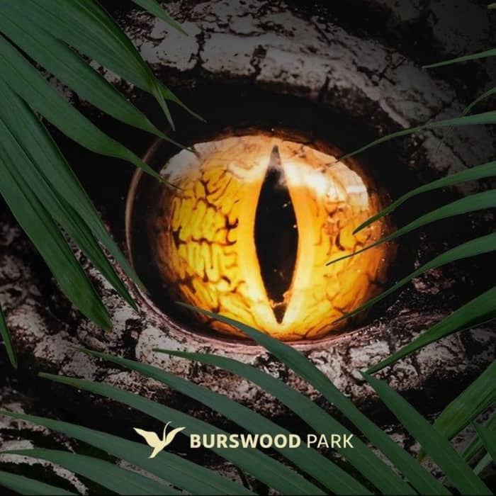 Jurassic Kingdom cover image