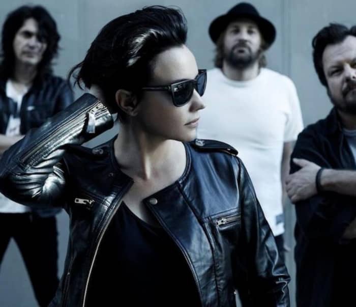 Baby Animals cover image