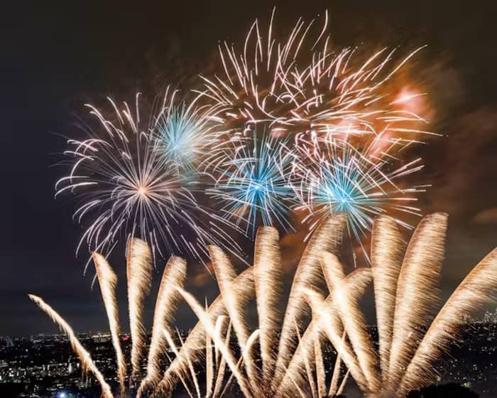 Ally Pally Fireworks & Drone Festival tickets