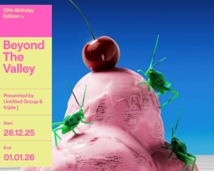 Beyond the Valley cover image