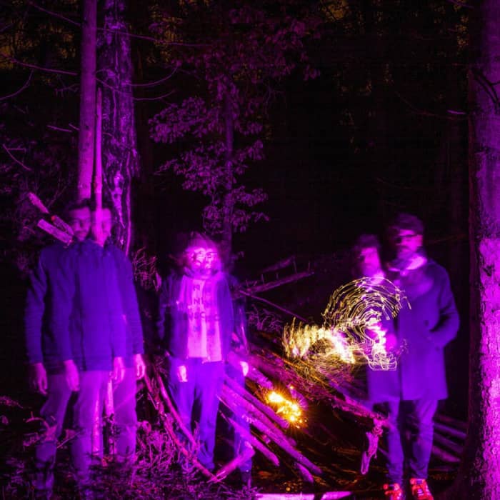 The Notwist cover image