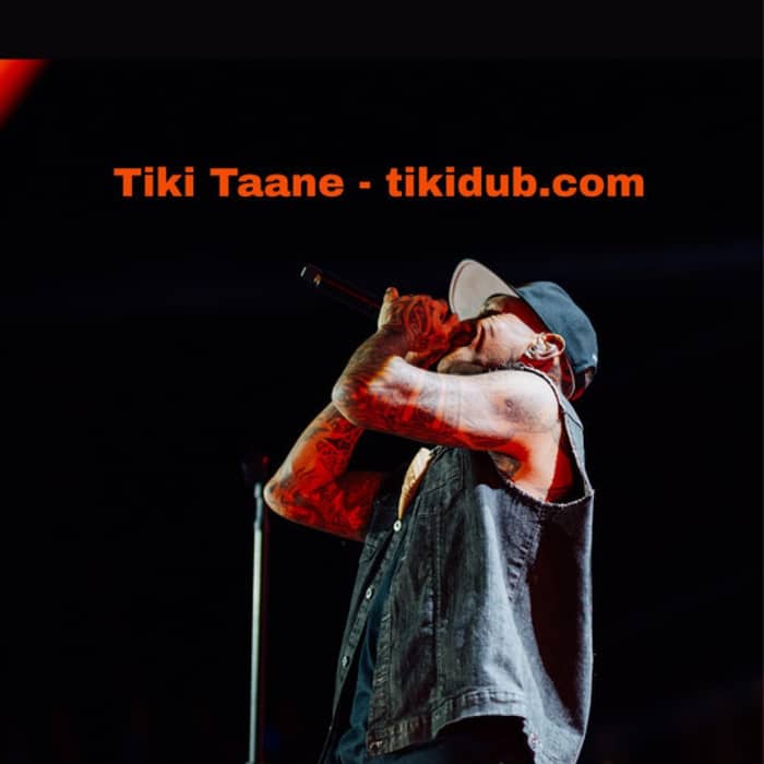Tiki Taane cover image