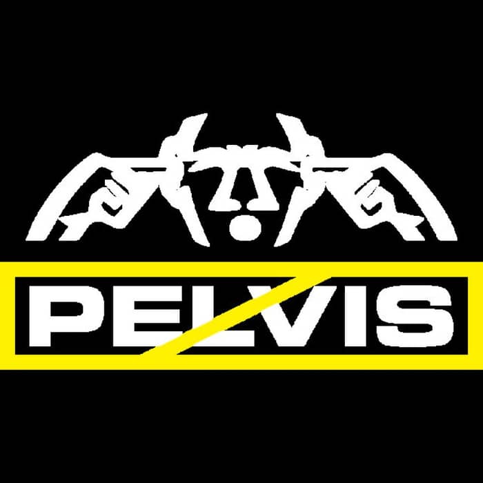 Pelvis cover image