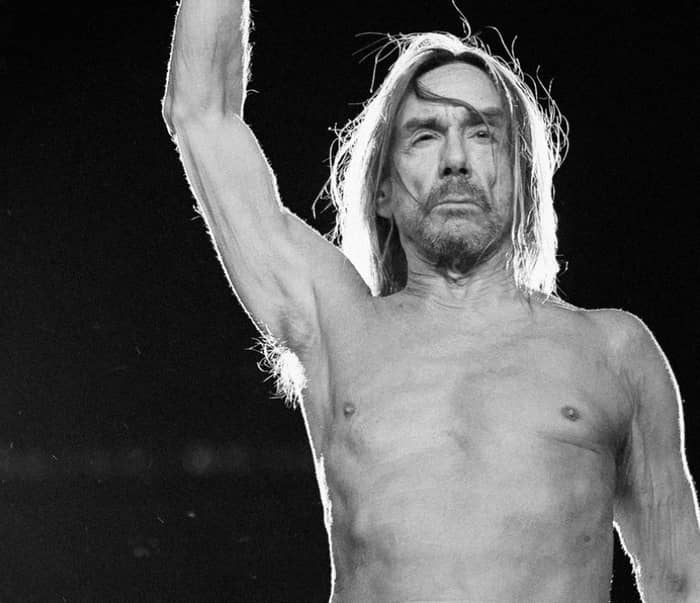 Iggy Pop cover image