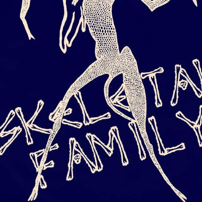 Skeletal Family cover image