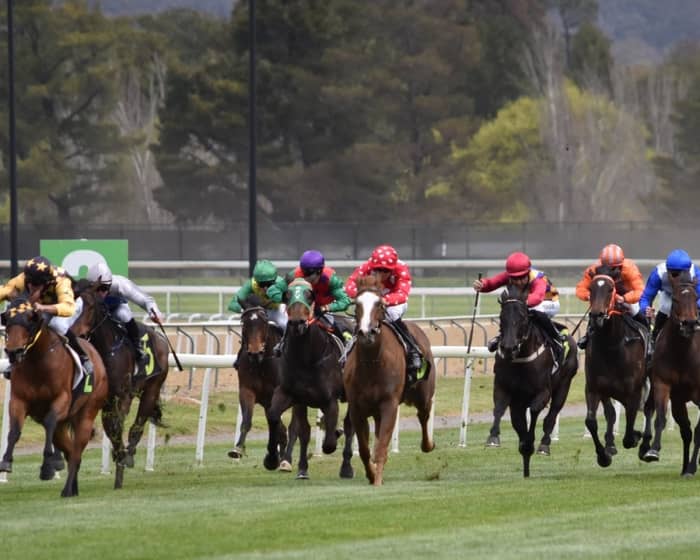 TAB Melbourne Cup & Big Dance Race Day tickets