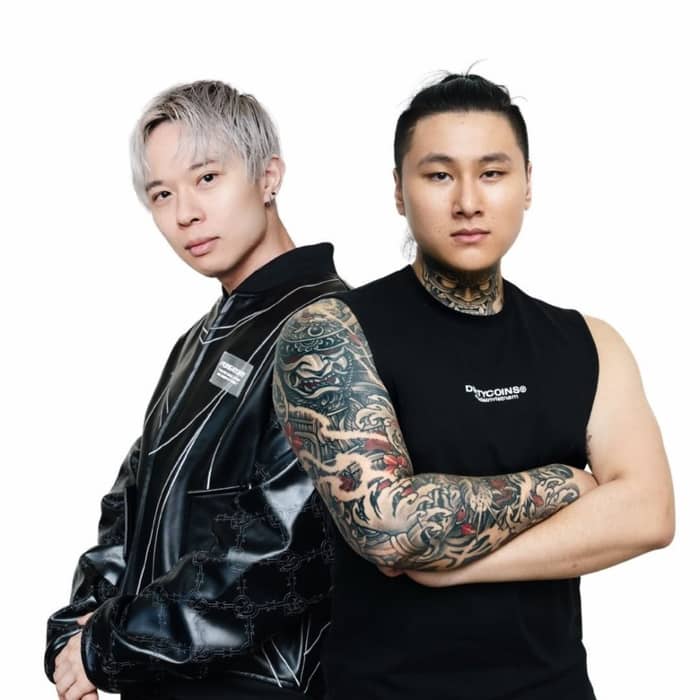 Twin Tigerz cover image