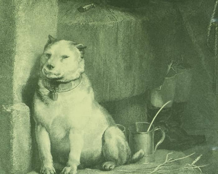 Pavlov's Dog tickets