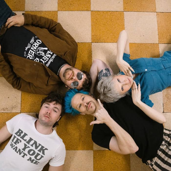 The Wild Things cover image