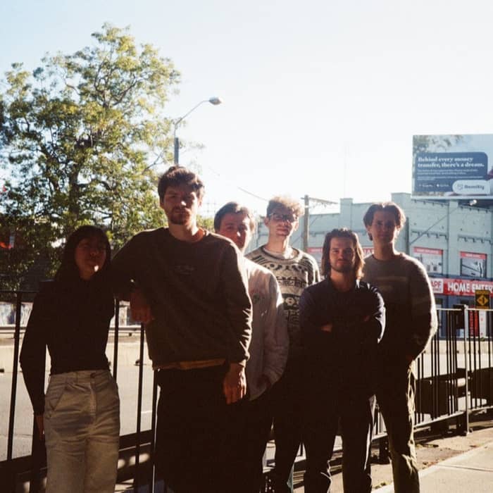 Seen Herbivore cover image