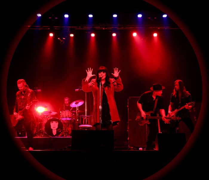 Ann Wilson tickets