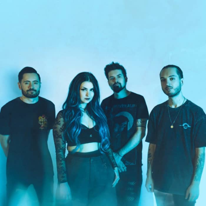 As December Falls cover image