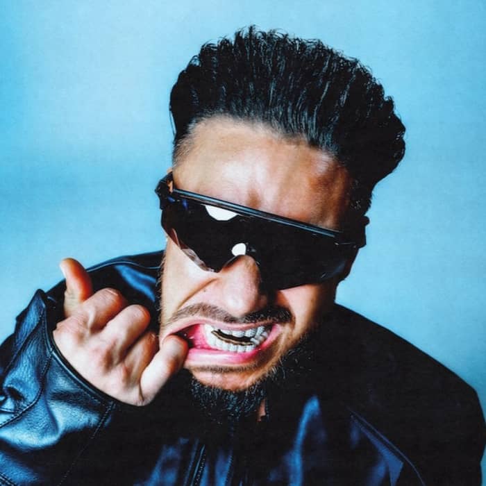 DJ Pauly D cover image