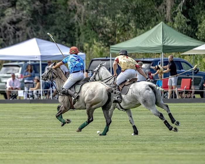 Denver Polo Club events