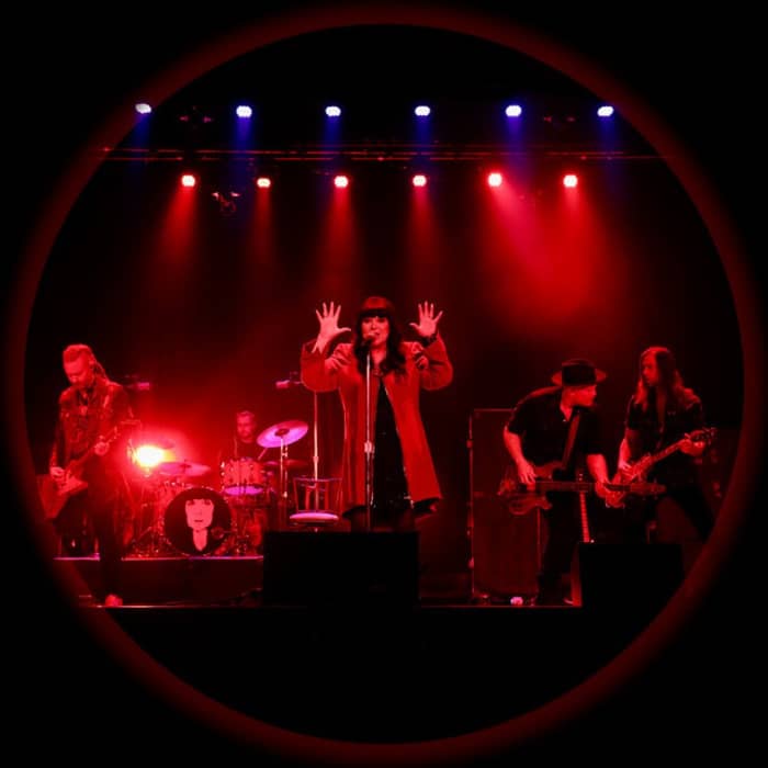 Ann Wilson cover image